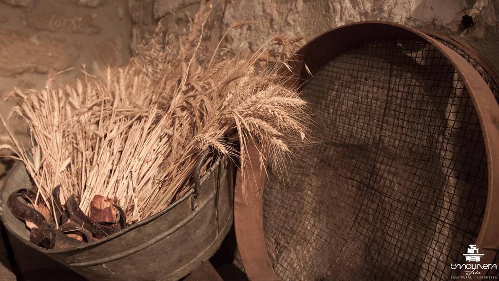 Casa Rural La Molinera Etxea Samaniego Bagian luar foto